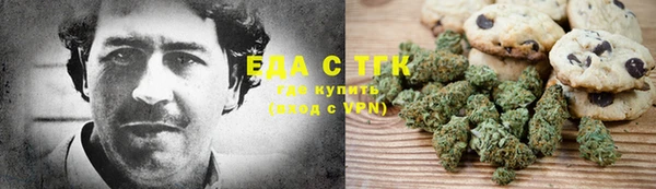 прущие грибы Новодвинск