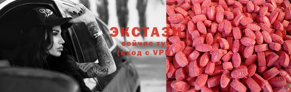 стаф Новозыбков