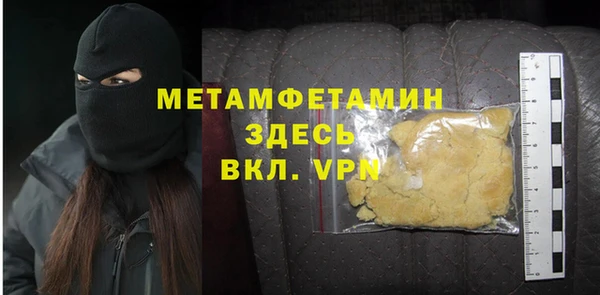 прущие грибы Новодвинск