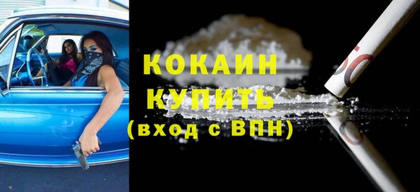 прущие грибы Новодвинск
