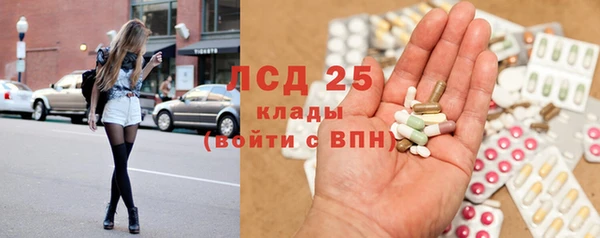 стаф Новозыбков
