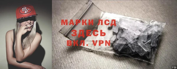 прущие грибы Новодвинск