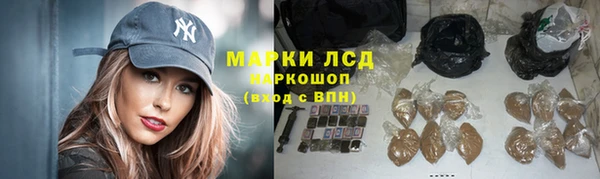 стаф Новозыбков