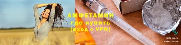 прущие грибы Новодвинск