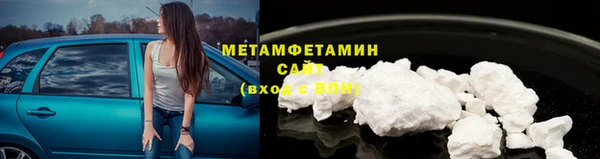 стаф Новозыбков