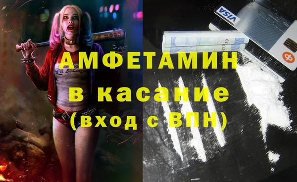 стаф Новозыбков
