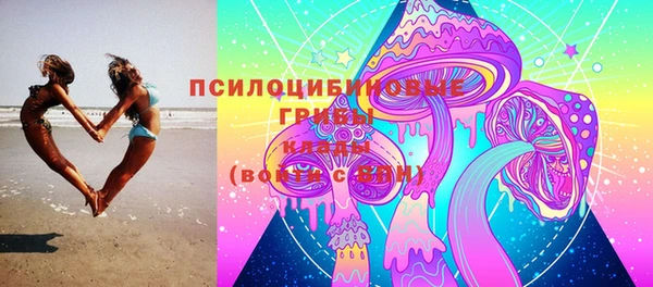 прущие грибы Новодвинск