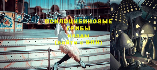 прущие грибы Новодвинск