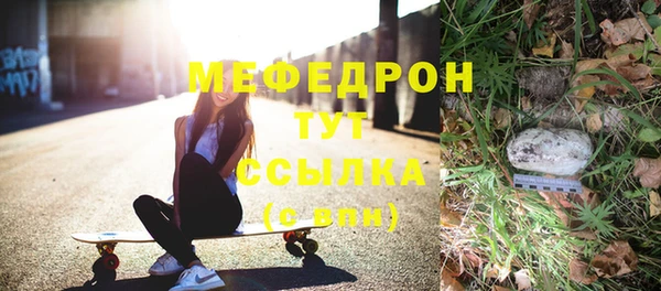 прущие грибы Новодвинск
