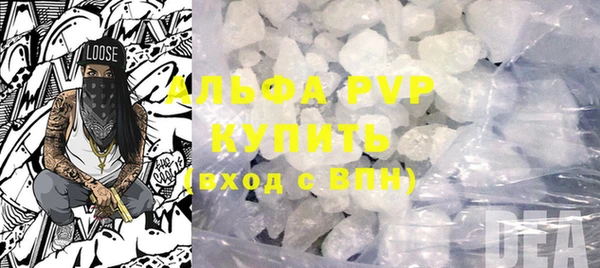прущие грибы Новодвинск