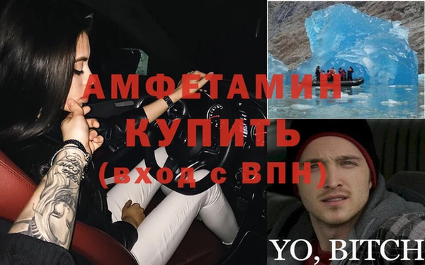 прущие грибы Новодвинск