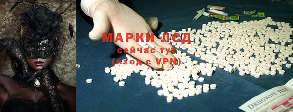 прущие грибы Новодвинск