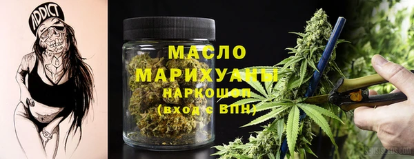 прущие грибы Новодвинск