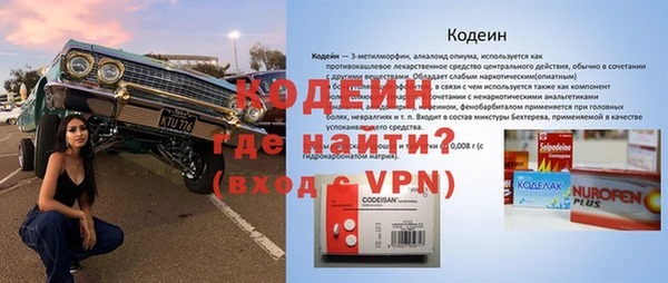 прущие грибы Новодвинск