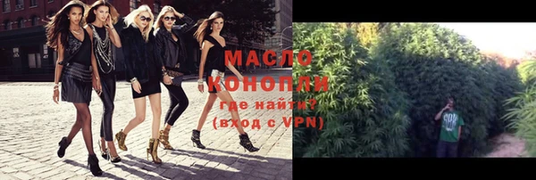 стаф Новозыбков