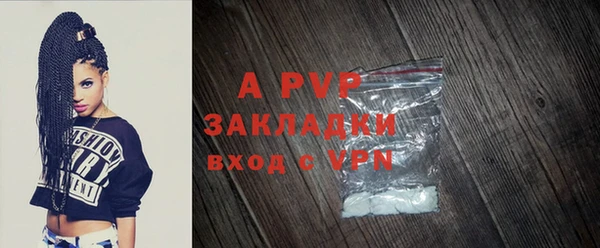 стаф Новозыбков