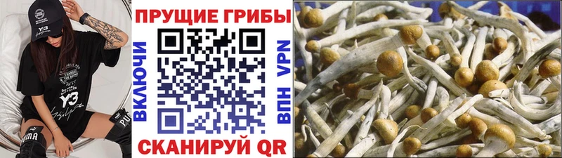 Галлюциногенные грибы ЛСД  Ивдель 